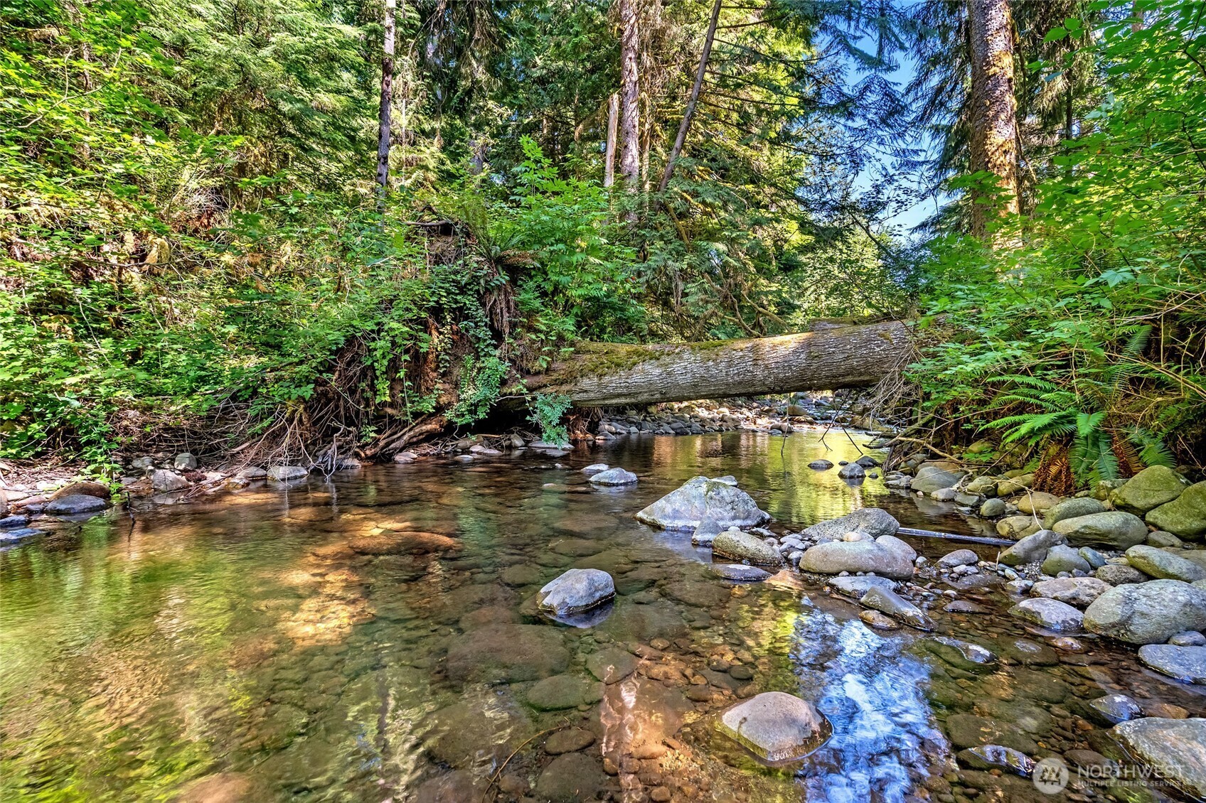 Property Photo: 33512 SE 126th Street WA 98027