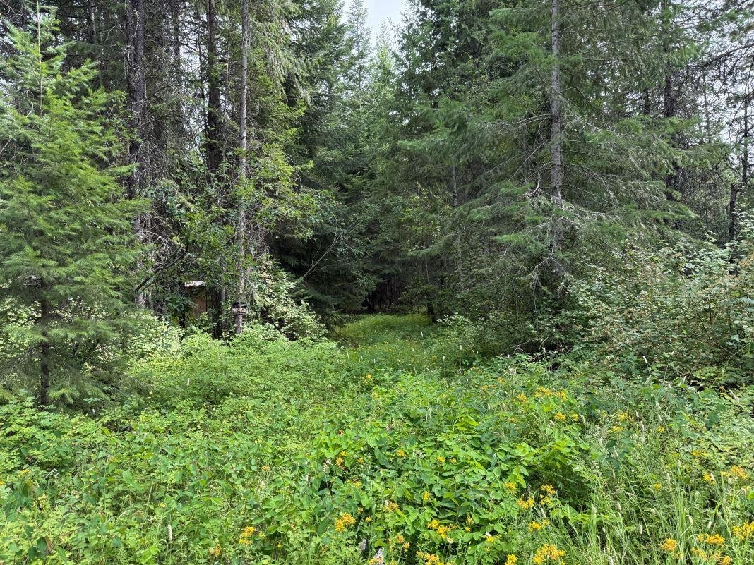 Property Photo: Lot 2 Springdale Hunters Rd WA 99173