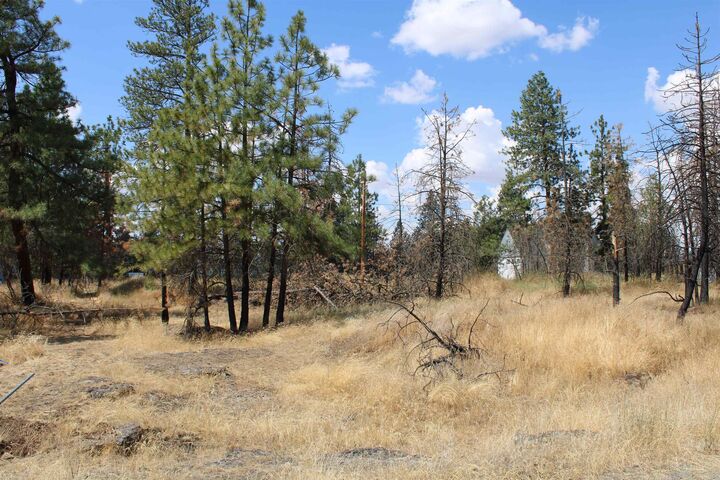 Property Photo:  Xxx S Chapman Rd  WA 99025 