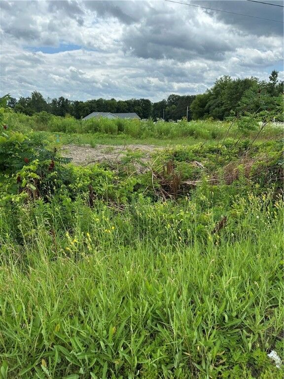 446 E Cortland Street  Groton NY 13073 photo