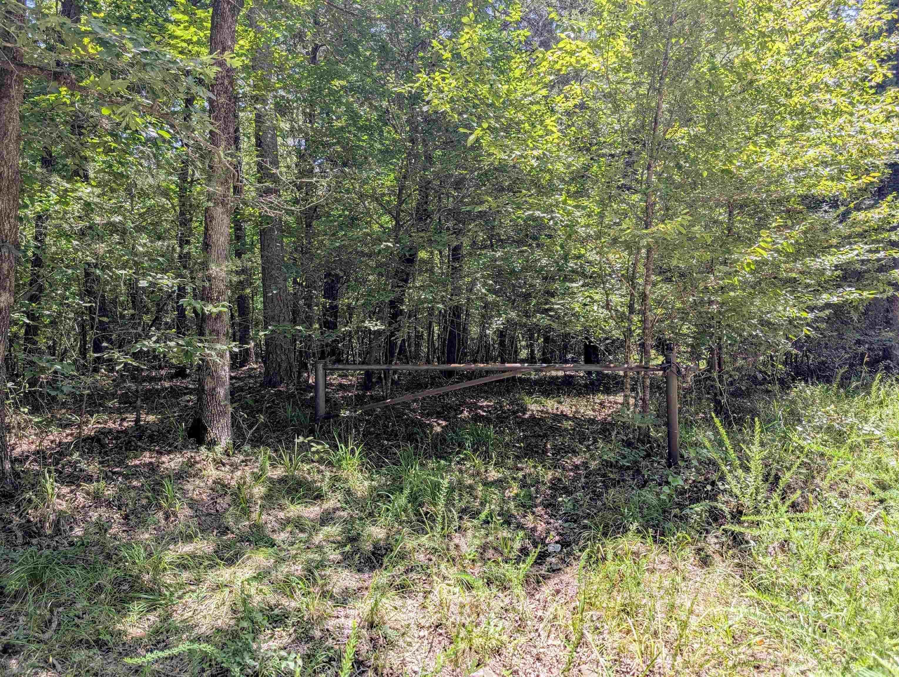 Property Photo:  Unk Polk Road 48 And Polk 95  AR 71953 