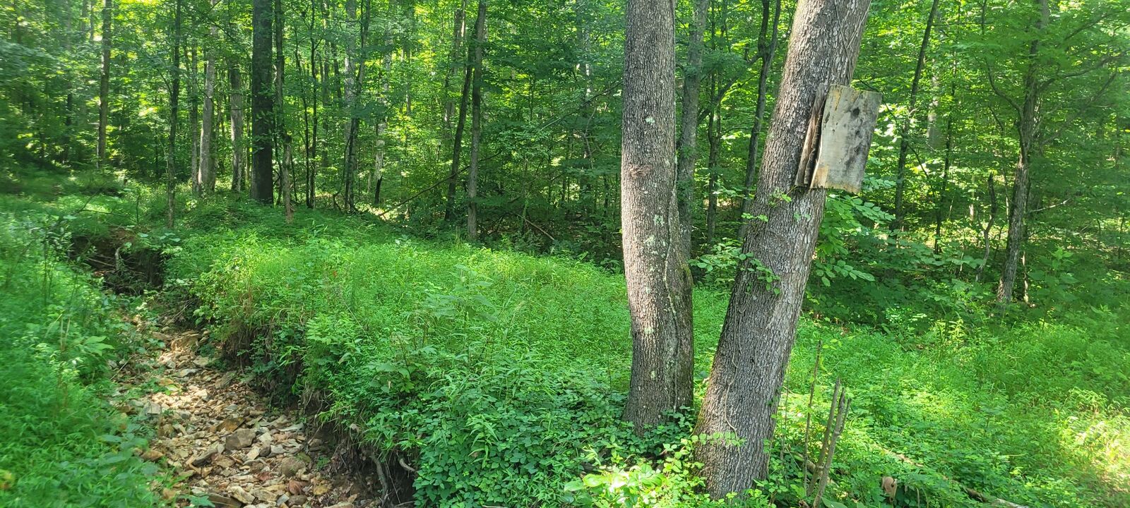 Property Photo: 1 Terripan Run Rd TN 37058
