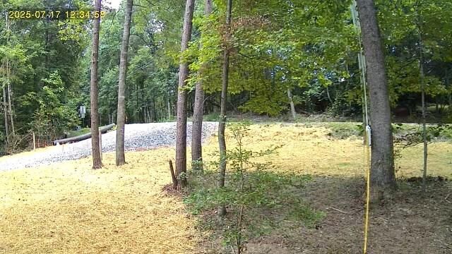 Lot 195 Shenendoa Dr.  Ellijay GA 30540 photo
