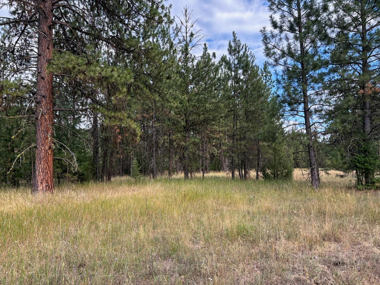 Property Photo:  8059 Mullan Road E  MT 59872 