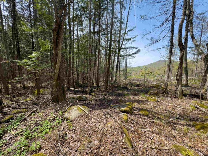 Property Photo:  Lot 4 Oregon Road  VT 05824 