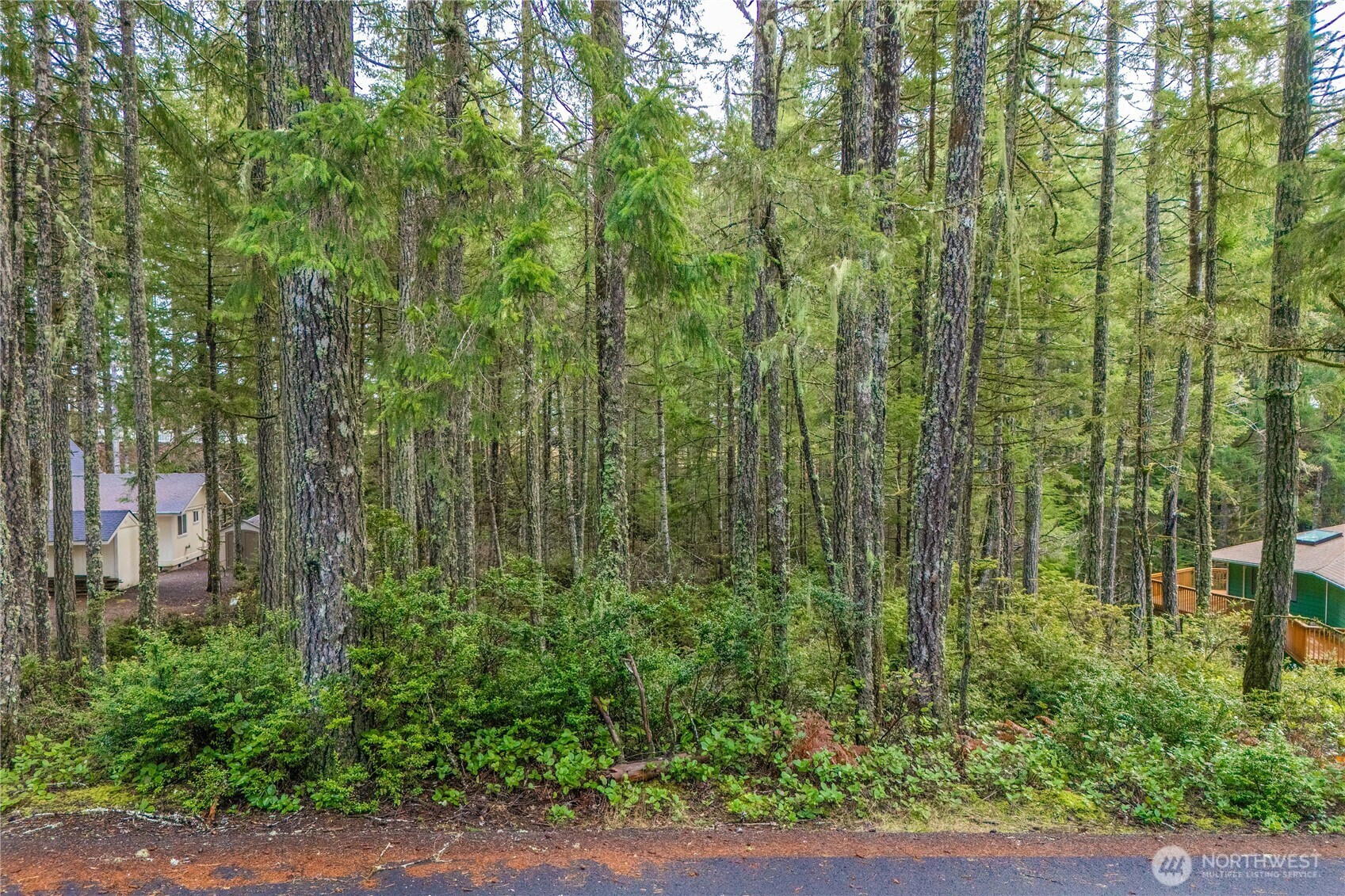 Property Photo: 651 E Vine Maple Lane WA 98592