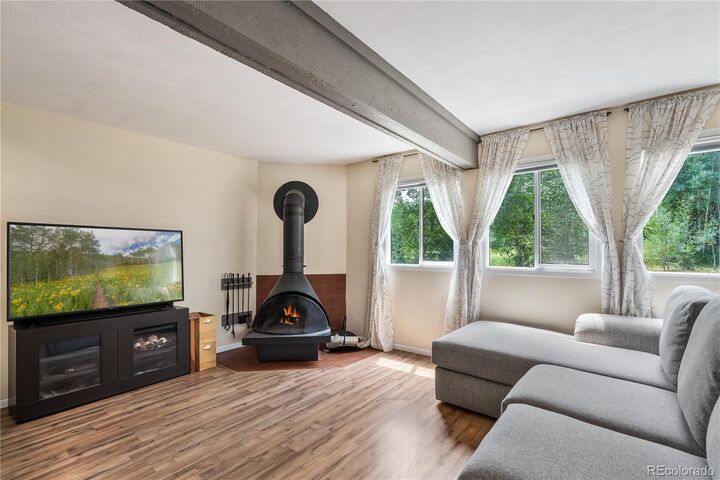 Property Photo:  401 Salt Lick Circle 2  CO 80498 