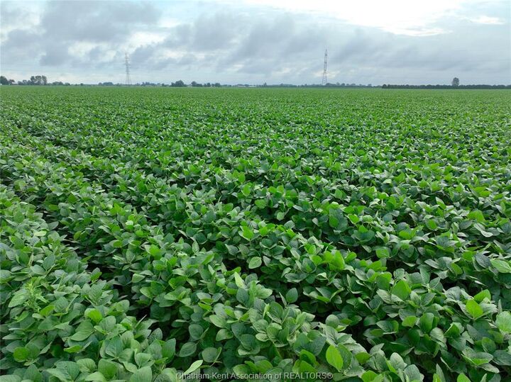 Property Photo:  White Road  ON N8A 4L3 