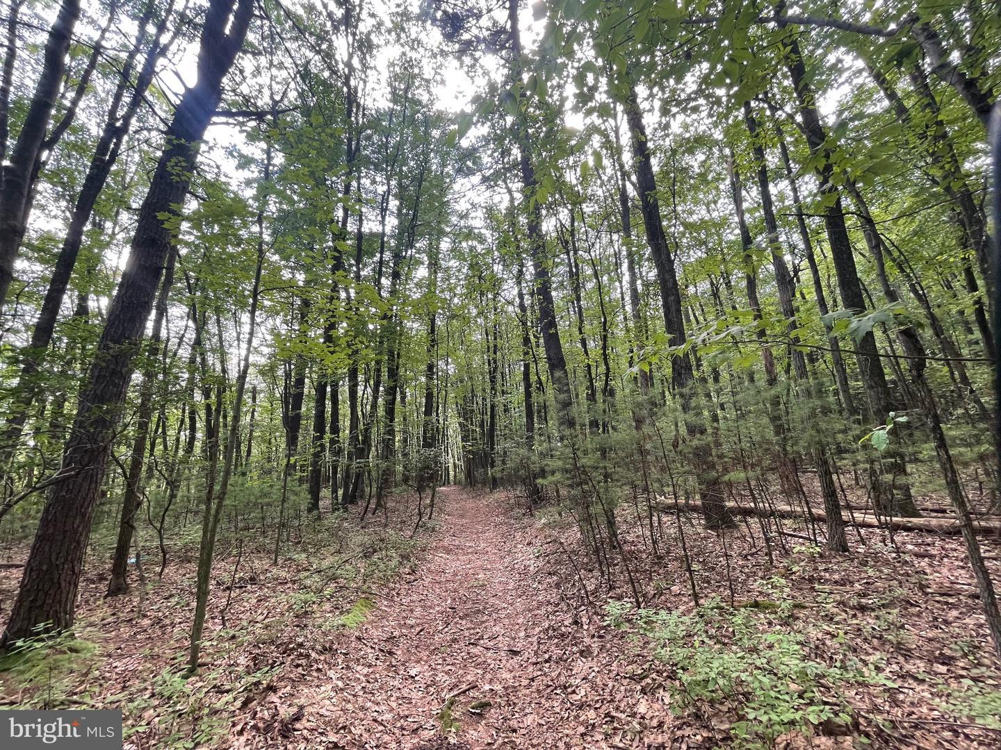 0 Long Run Road  Pine Grove PA 17963 photo