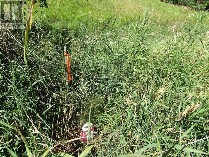 Property Photo:  Lot 7 84th Avenue  BC V0H 1H2 