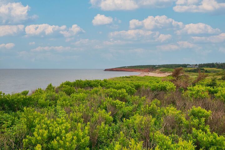 Property Photo: 275 Bear Shore Road PE C0A 2B0