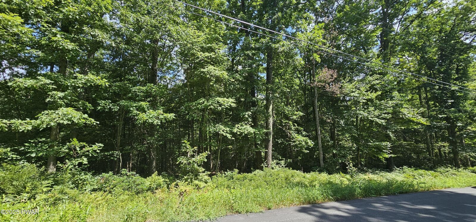 Property Photo: Lot 23.23 Perry Pond Road NY 12764