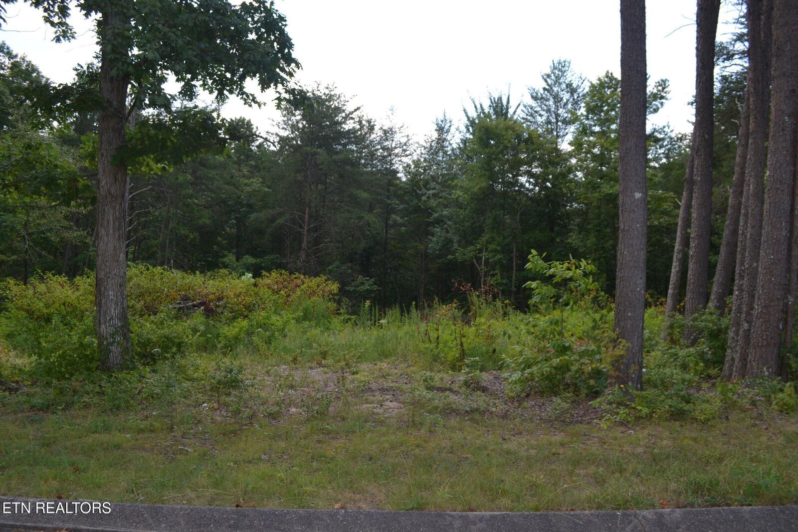 Property Photo:  0 Countryside Drive  TN 37327 