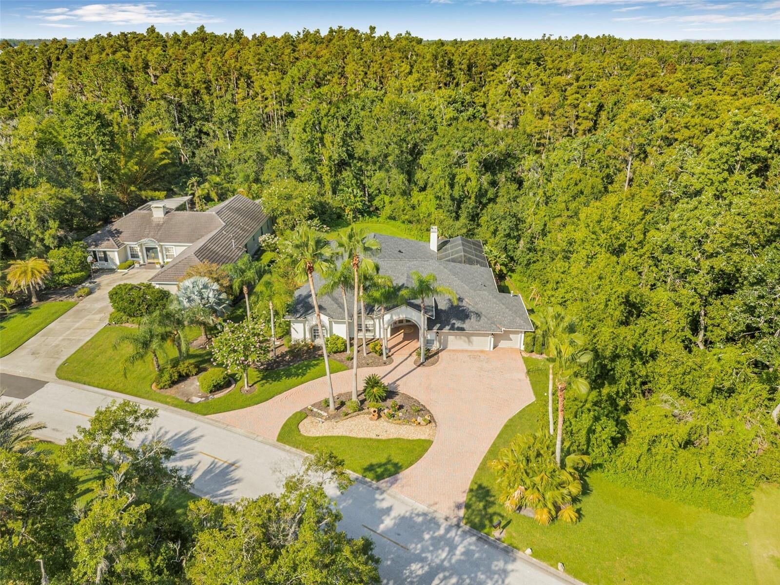 Property Photo:  5243 Foxhunt Drive  FL 33543 