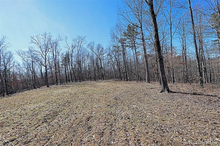 Property Photo: 37801 State Hwy Hh MO 63662