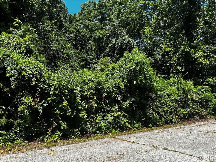 Property Photo:  204 Incline Village  (Cypress Ct)  MO 63348 
