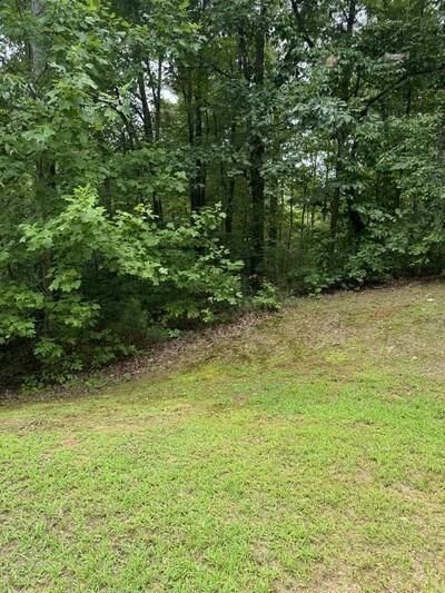 Property Photo:  Lot 5 Harris Creek Drive  GA 30540 