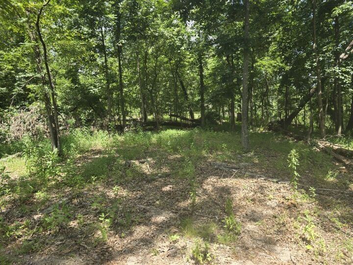 Property Photo:  Lot 2 Esculapia Hollow Road  AR 72758 