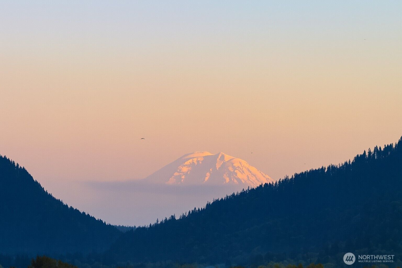 Property Photo: 4242 213th Place SE 20 WA 98029