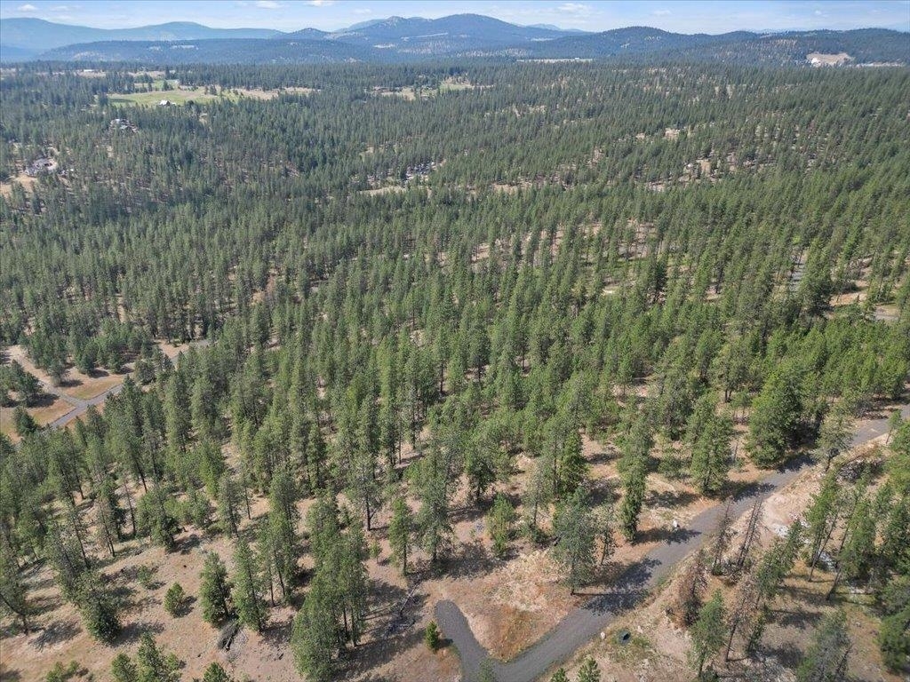 Property Photo: Nka Weaver Way Lot D Of Lot 6 WA 99006