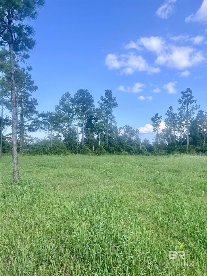 Property Photo:  24736 Linholm Road  AL 36567 