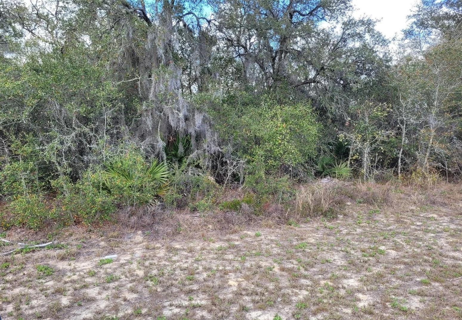 Property Photo:  Tbd SW 100 Street  FL 34476 