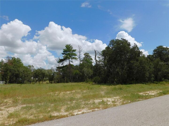 Property Photo: Tbd SW 100 Street FL 34476
