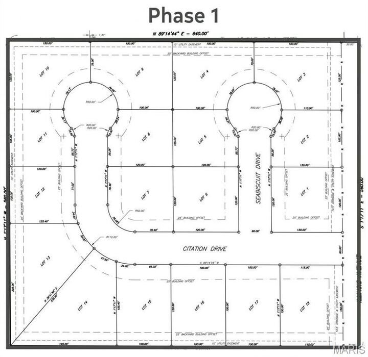 Property Photo: 308 Citation Drive MO 63801