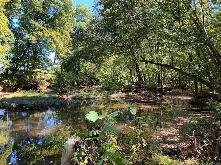 0 River Bluff Farms  Farmington MO 63640 photo