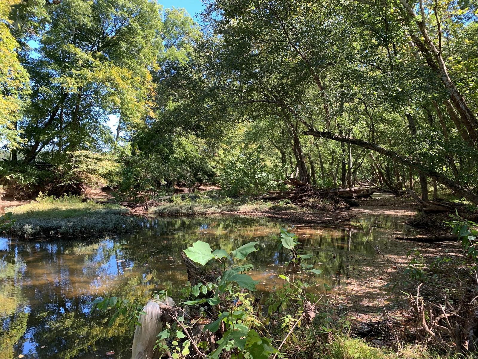 Property Photo: 0 River Bluff Farms MO 63640