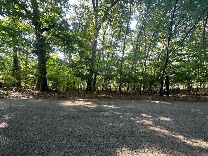 Property Photo: 923 Hickory Lane MO 63026
