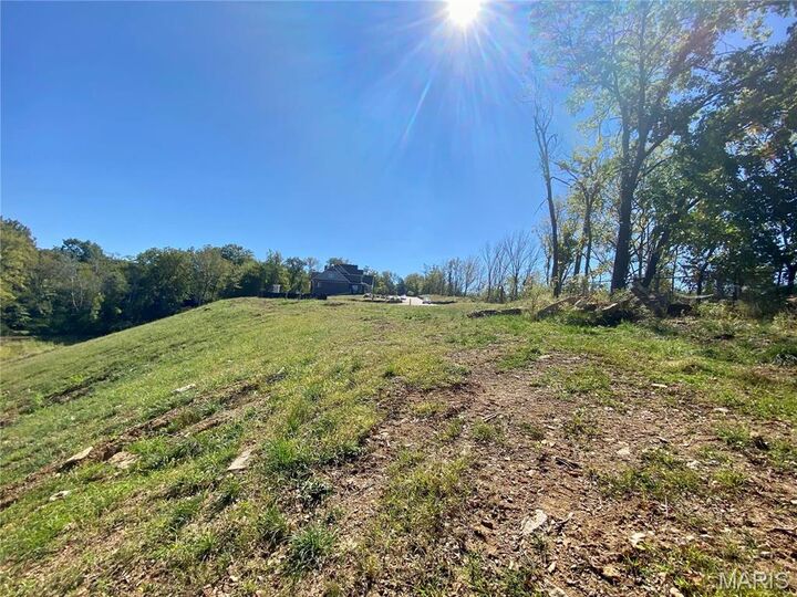 Property Photo: 2045 Lily Avenue MO 63122