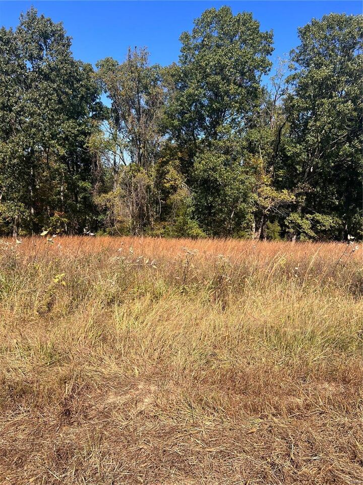 Property Photo: 3 Gratzer Lane MO 63077