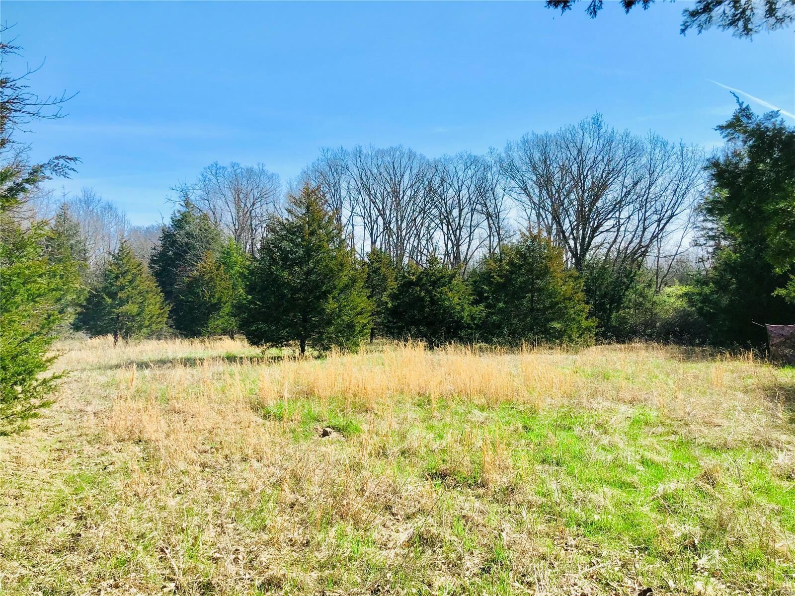 Property Photo: 150 Shell Box Drive MO 65535