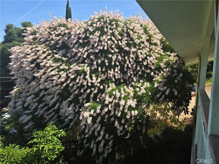 Property Photo: 3445 Garfield Avenue CA 95422