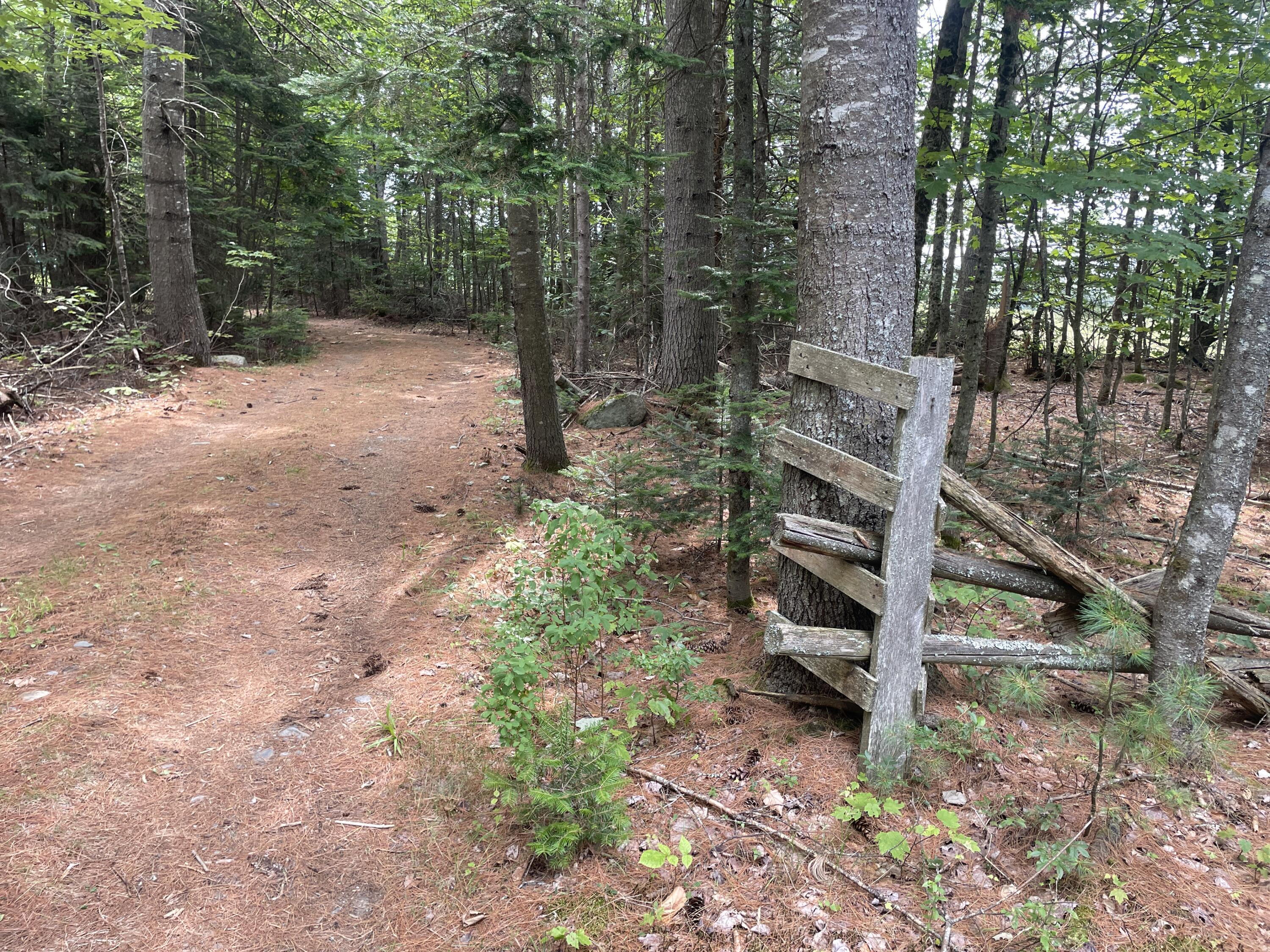 Property Photo: Lot# North Road ME 04942