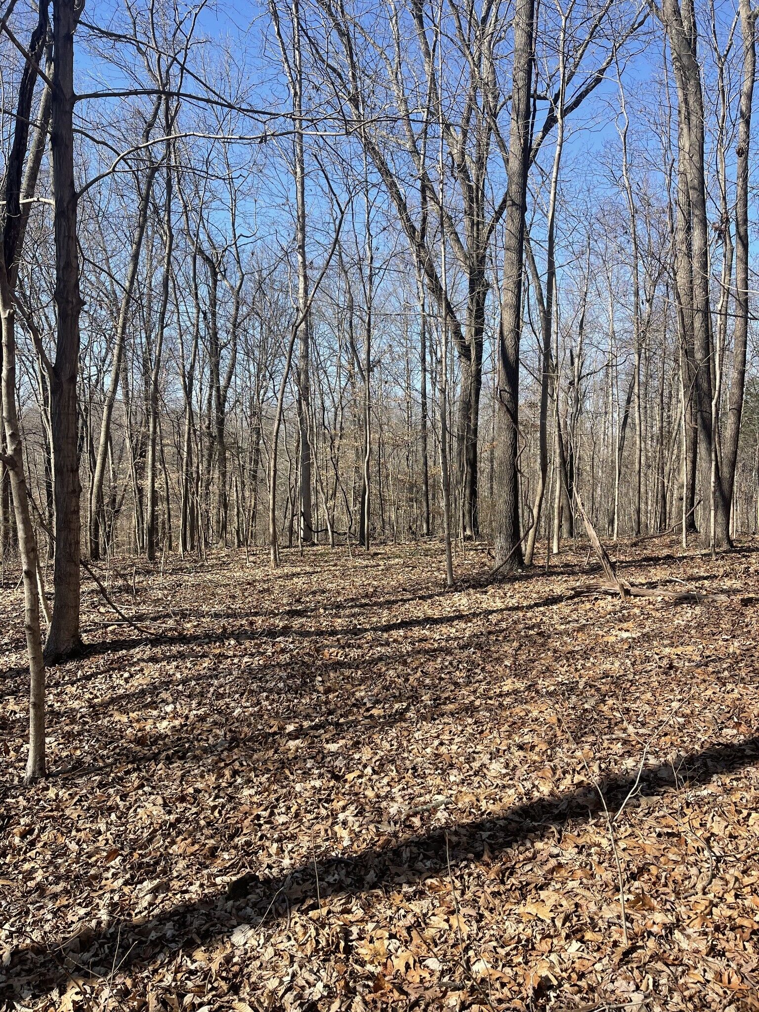 Property Photo:  165 Pleasant Hill Road  TN 37083 