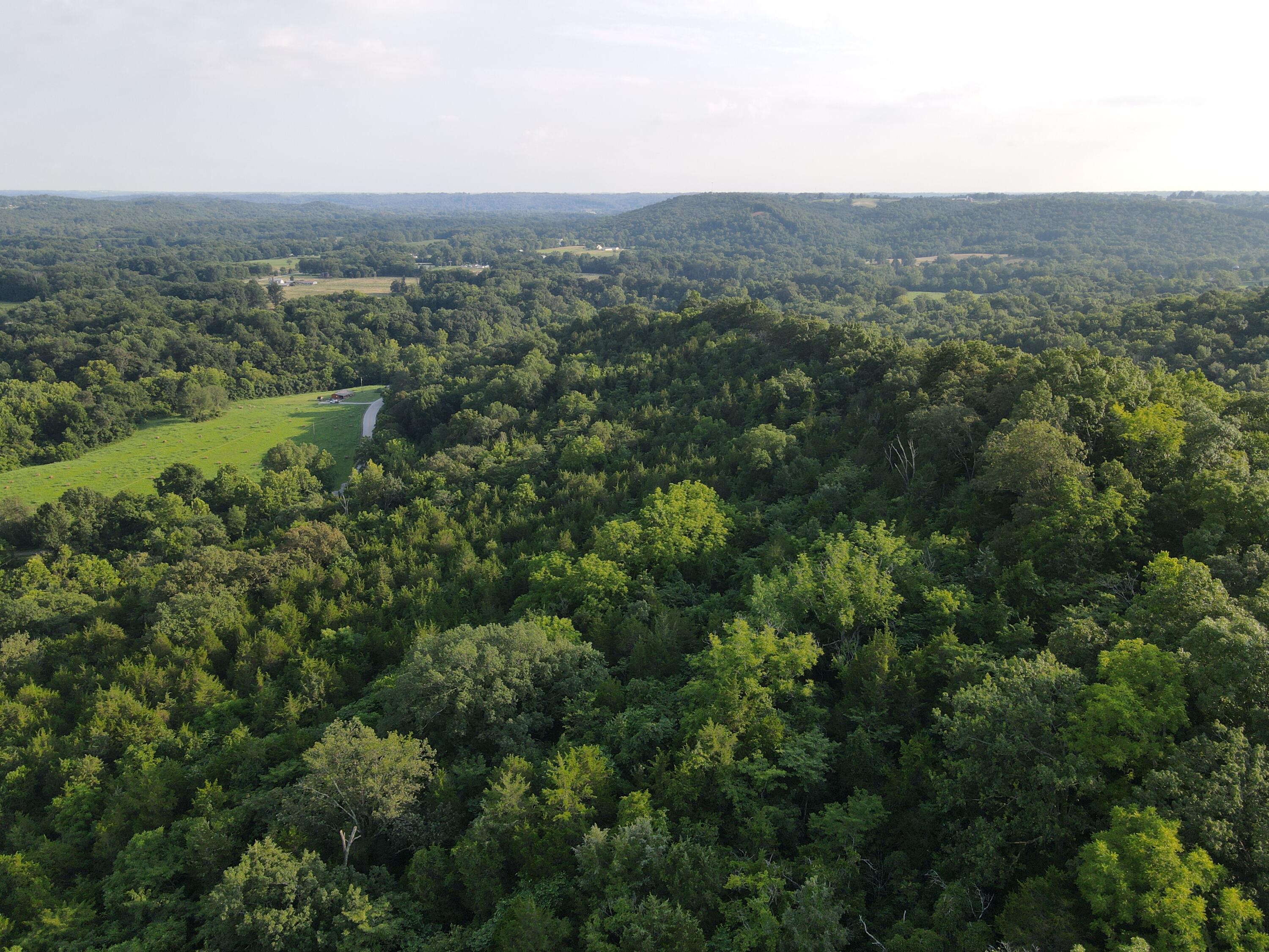 Property Photo: 0 Conley Road KY 41063