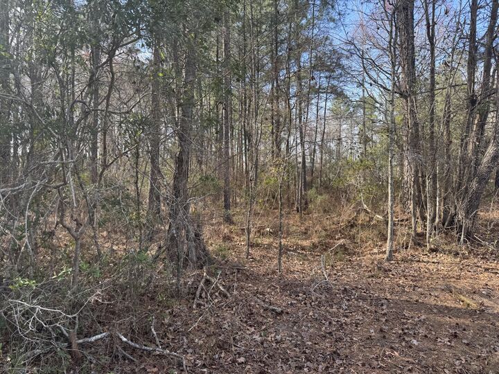 Property Photo:  0 Branton Lane  SC 29461 