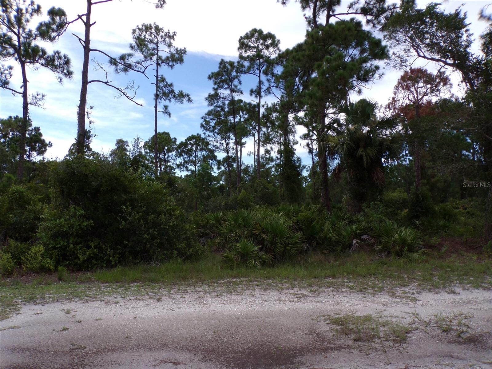 Property Photo:  12259 Catridge Circle  FL 33955 