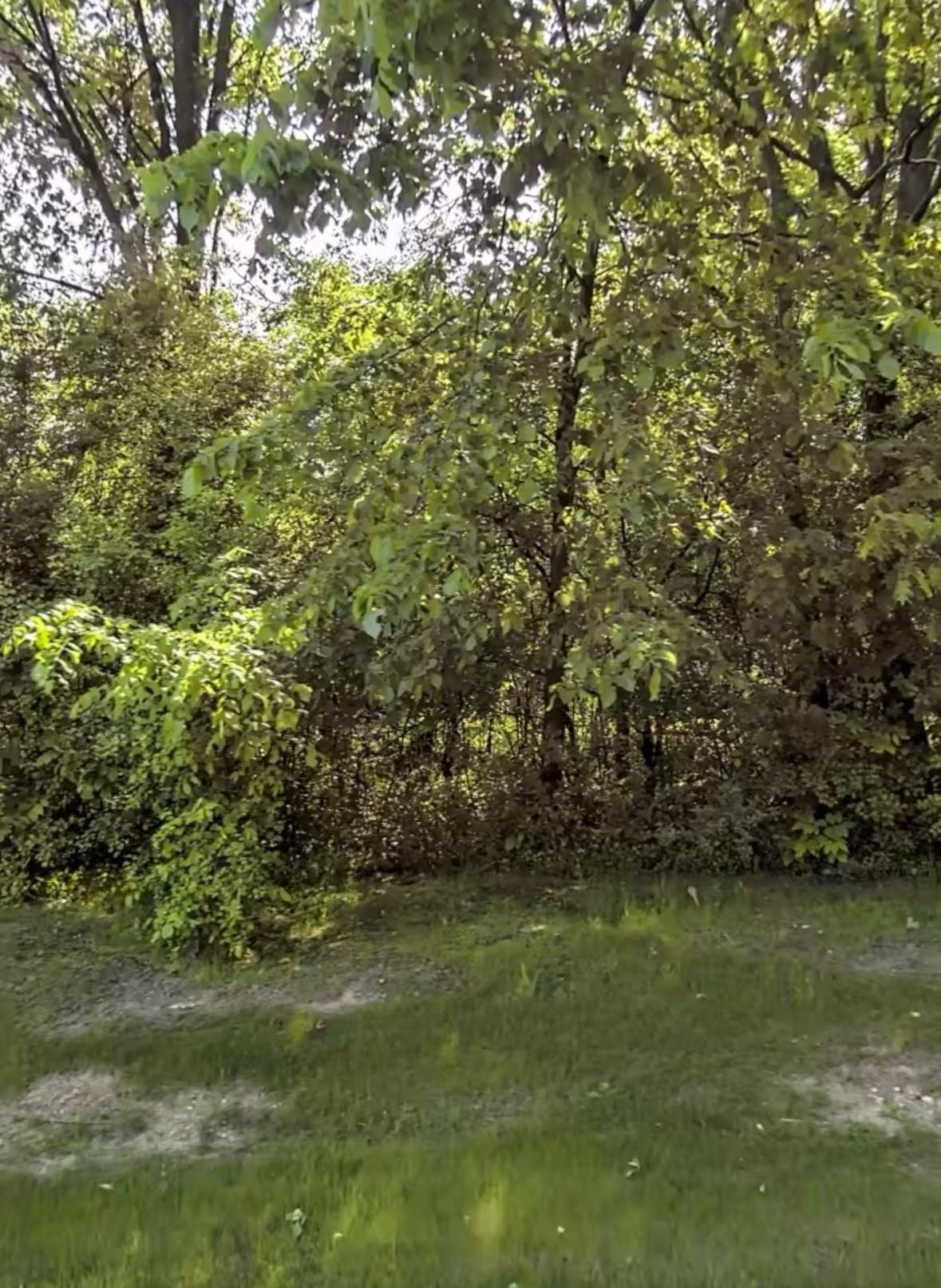 4705 Halsted Road  West Bloomfield MI 48323 photo