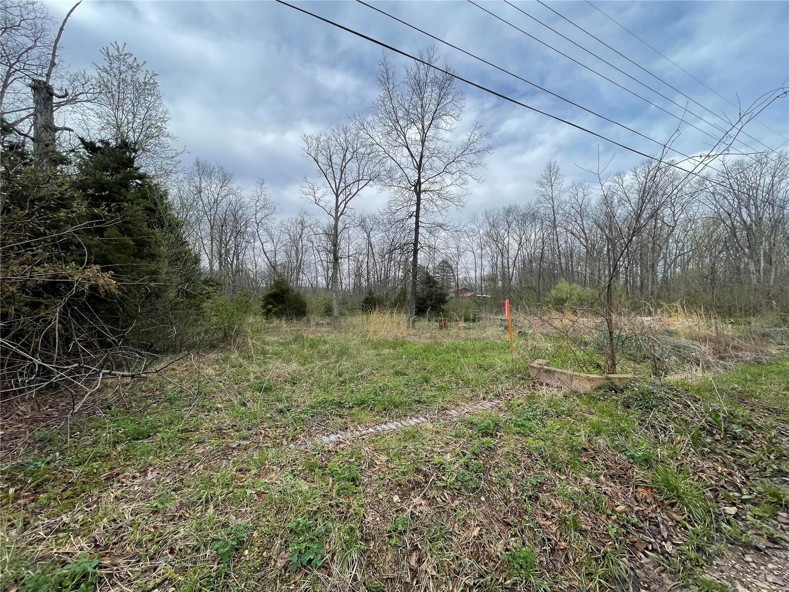 Property Photo:  576 Springfield Drive  MO 63624 