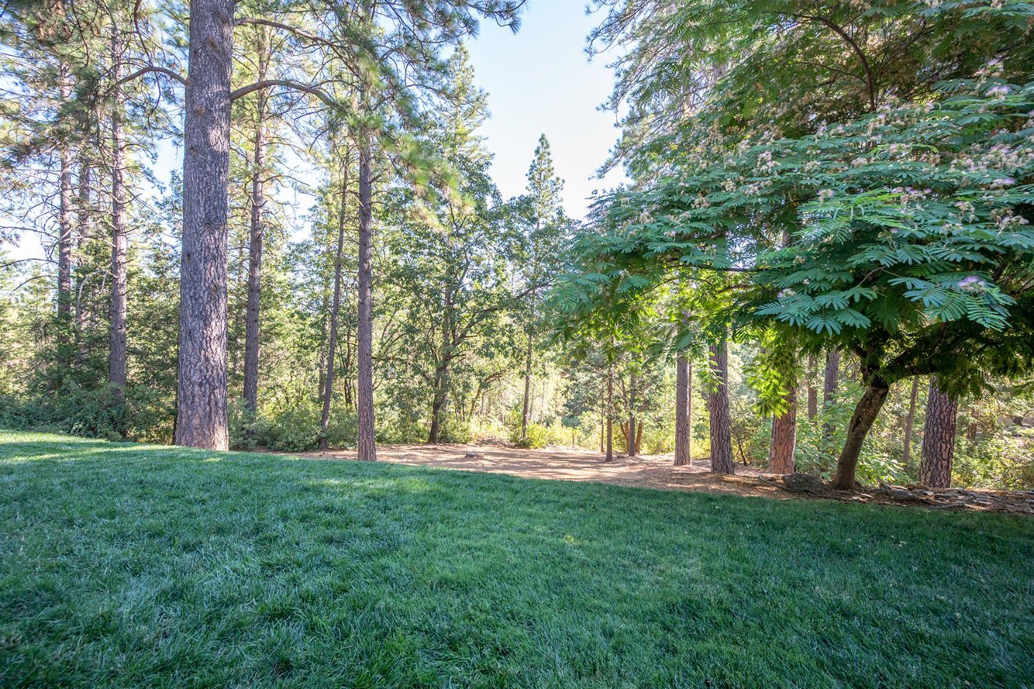 Property Photo: 4740 Wilderness Way CA 95667