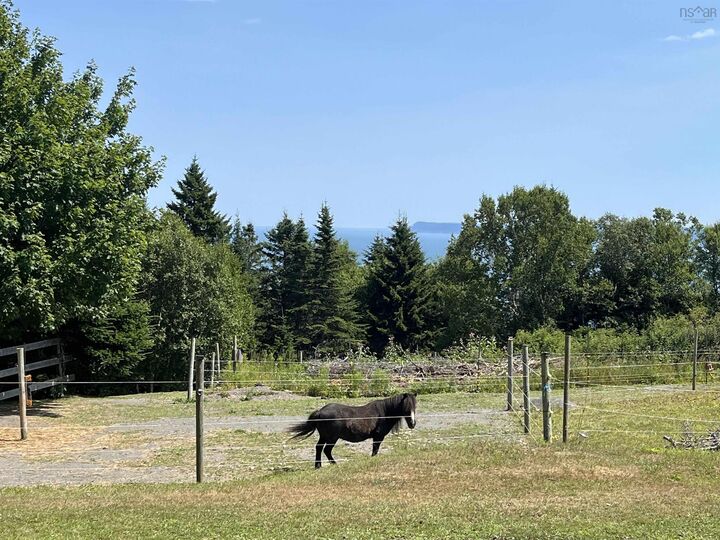 Property Photo: 7787 Highway 209 NS B0M 1S0