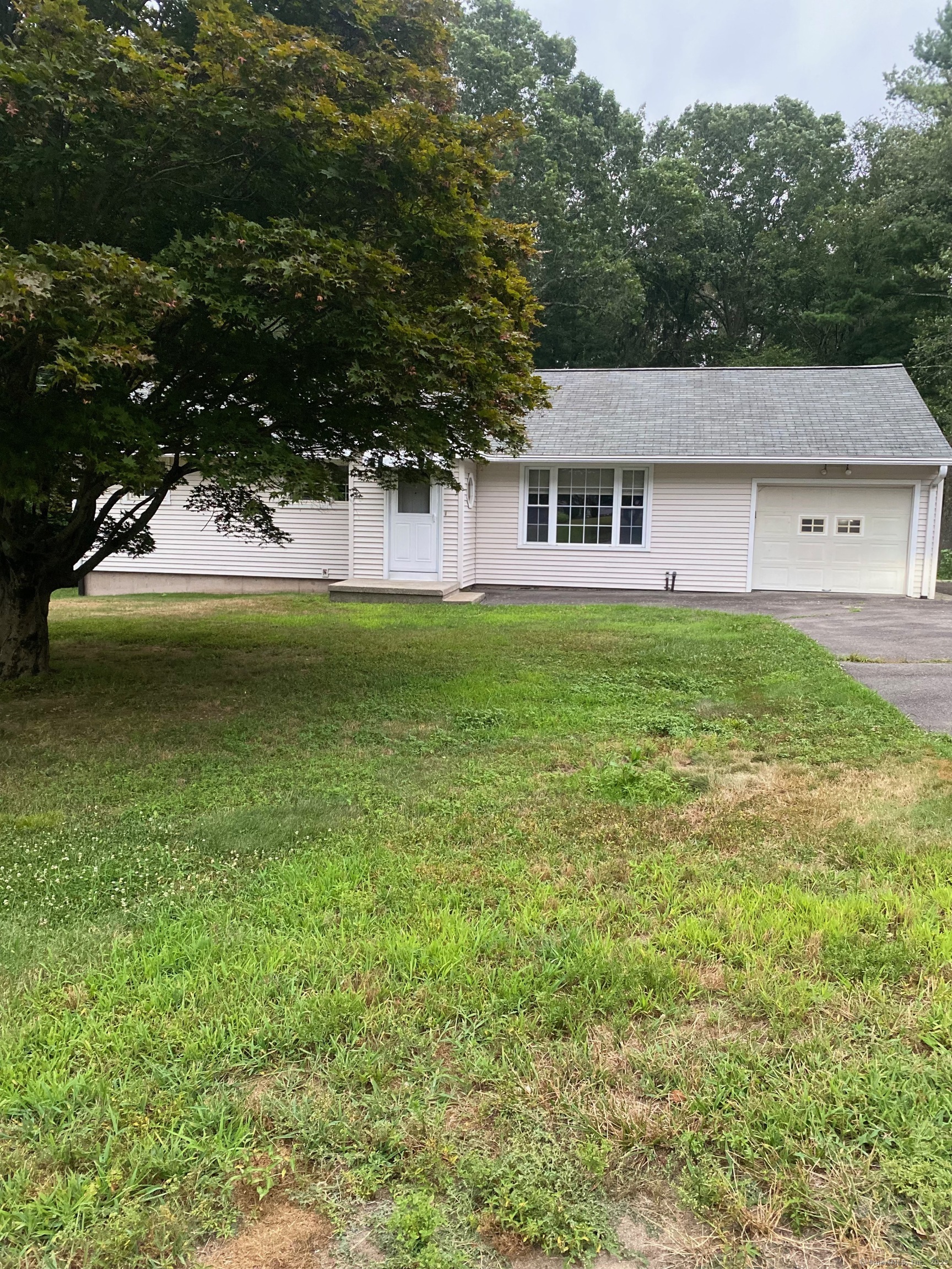Property Photo: 59 Chestnut Drive CT 06418