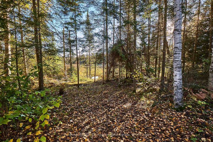 Property Photo:  0 River Road  ON P0A 1X0 