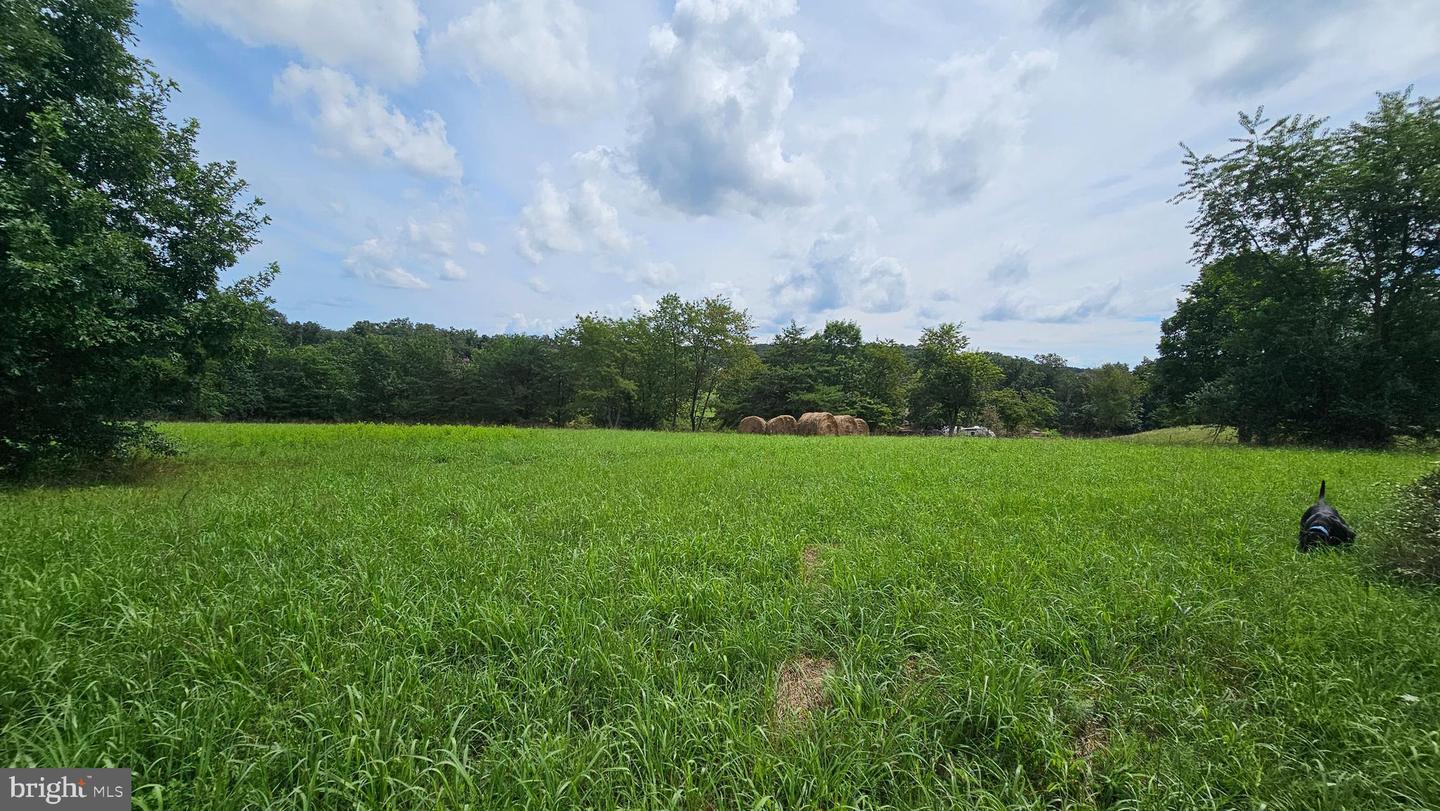 Property Photo: Green Meadows Drive WV 26711