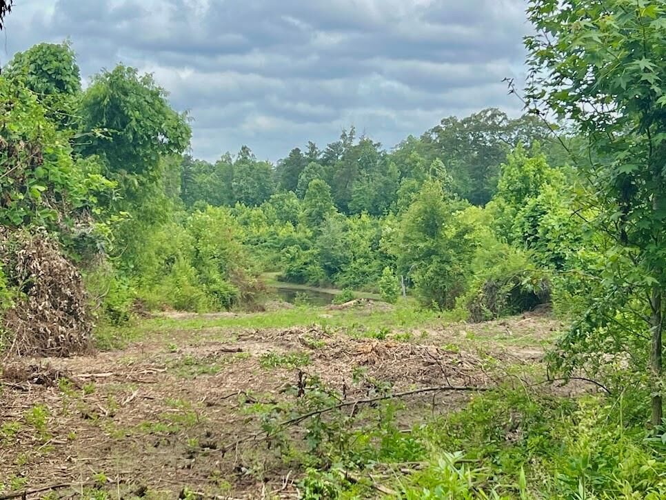 Property Photo: 000 Folds (Tract D - 22.67 Acres) Road GA 30116