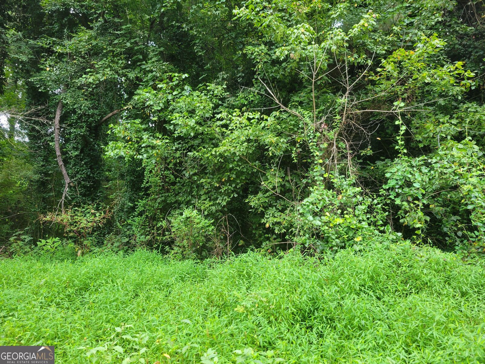 Property Photo: 0 Clemmons Drive GA 30294