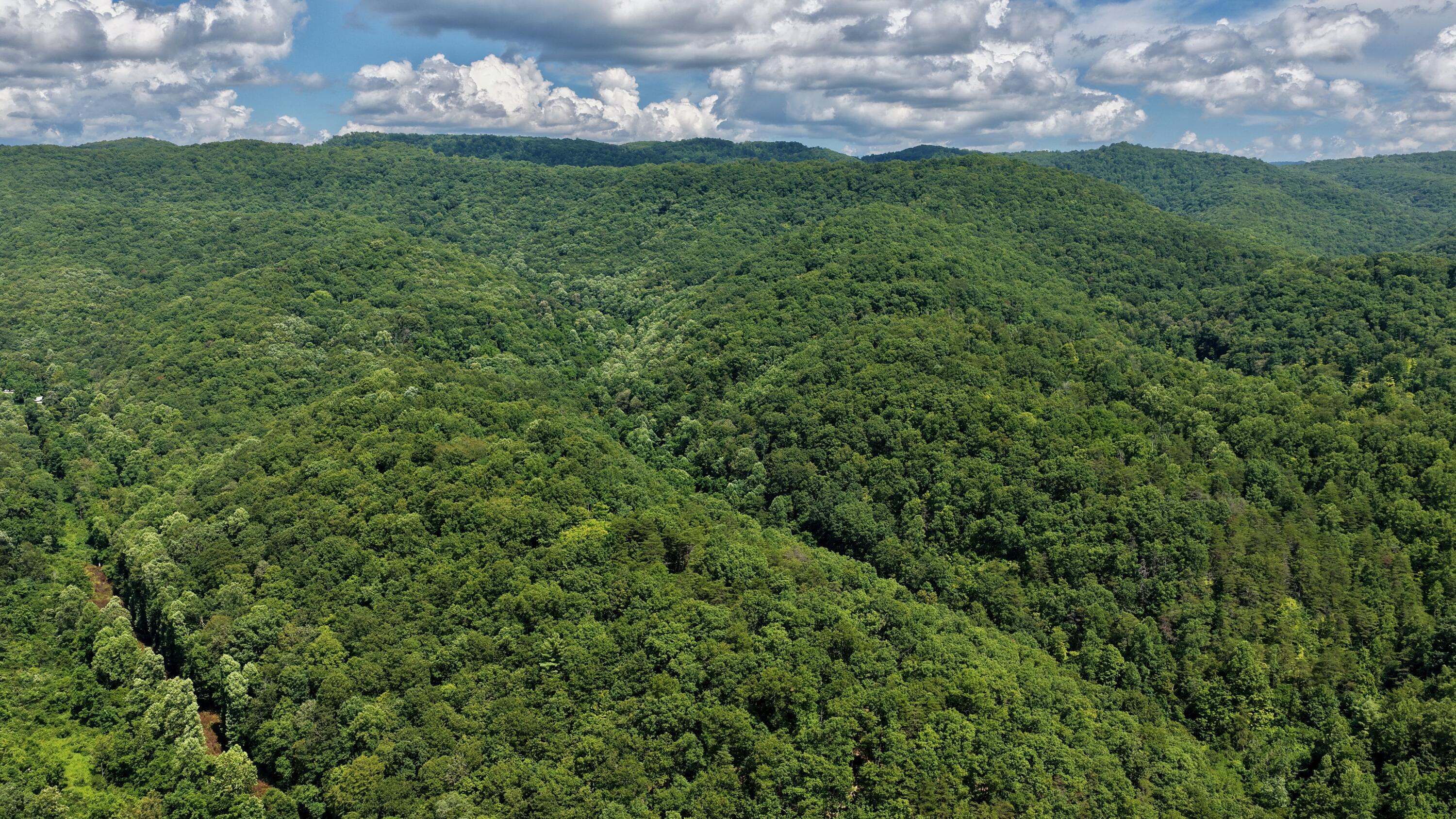Property Photo: Rt 7 Nr Creamery Rd WV 24985